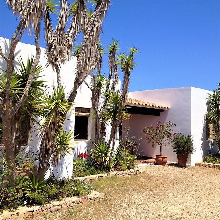 Apartamentos Laura Playa De Migjorn Zewnętrze zdjęcie